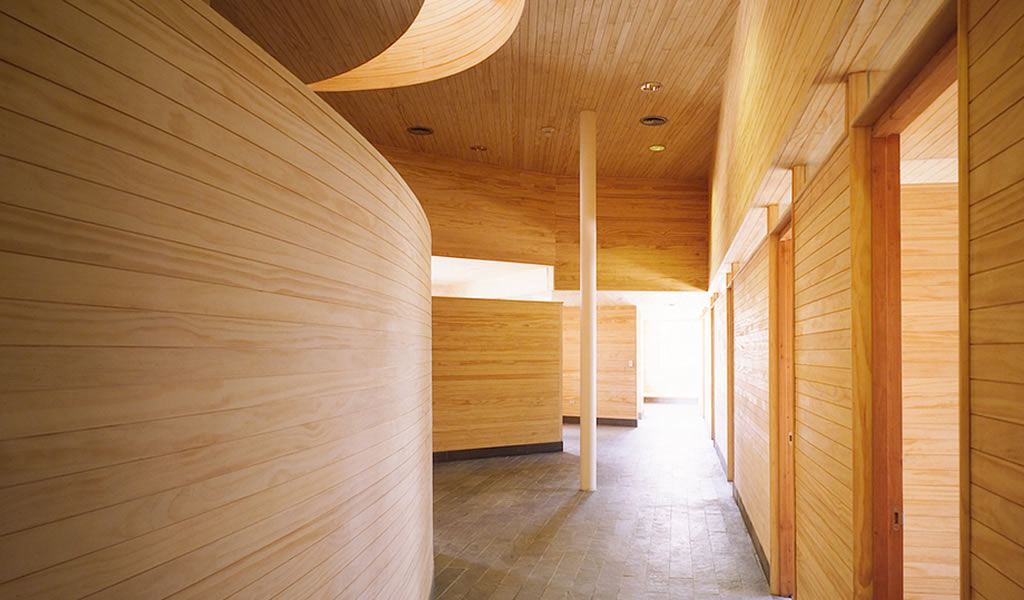 Revestimientos de madera para paredes y muebles interiores: ¿cómo elegirlos?
