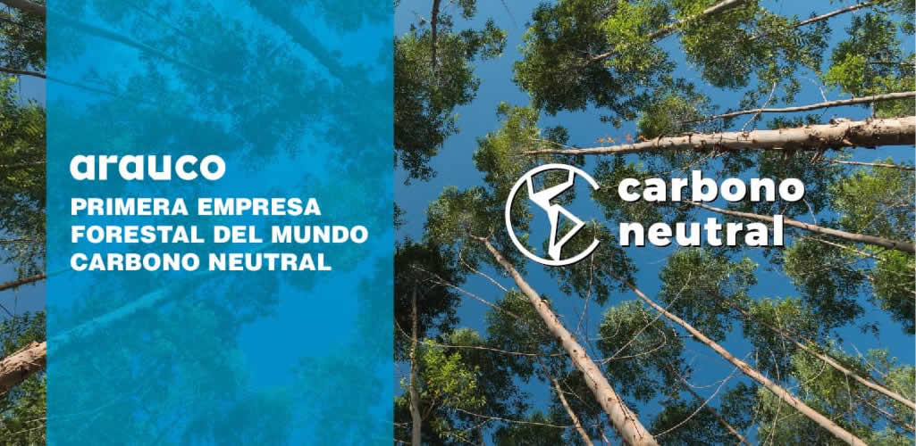 Arauco se convierte en la primera compañía forestal del mundo en certificar su carbono neutralidad