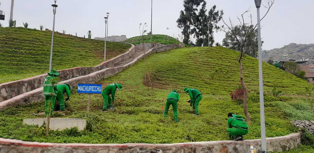 Reverdece Perú: Mantenimiento de áreas verdes extensas