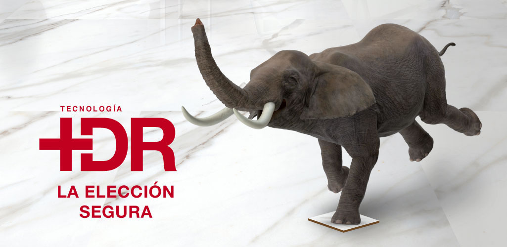 La tecnología +Dr de San Lorenzo desafía a 17 elefantes sobre su piso de gran formato
