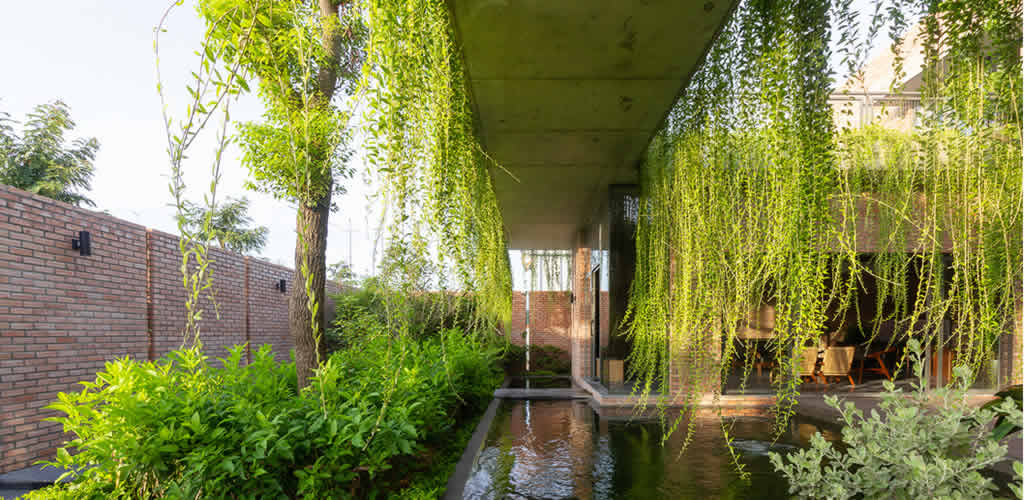 Diseñando jardines colgantes para la arquitectura residencial
