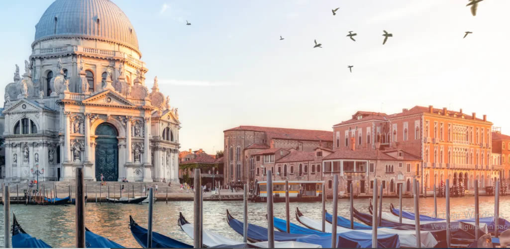 Bienal 2022: las exposiciones que no te puedes perder en Venecia