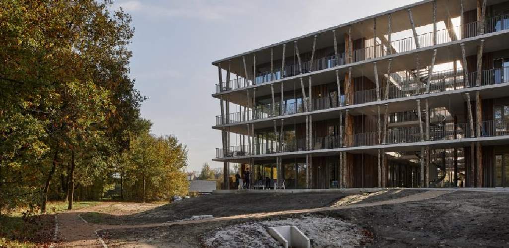 Forest Bath: Fachada de vivienda es construida con troncos de árboles en Eindhoven