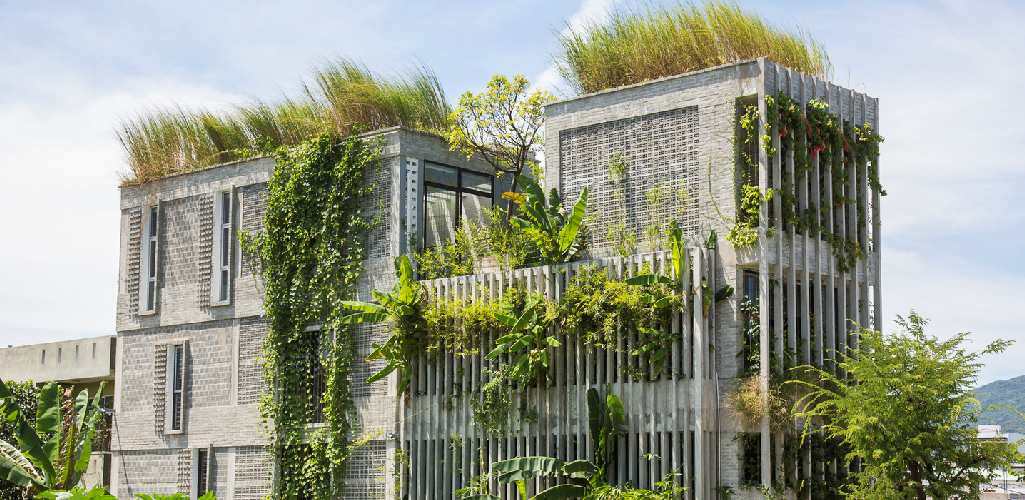Conozca más sobre la importancia de la vegetación en la arquitectura