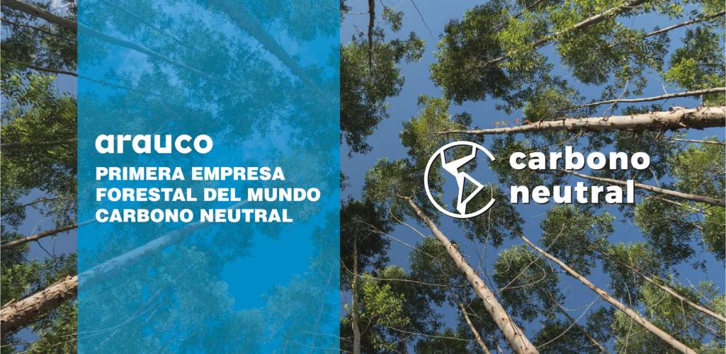ARAUCO: Primera Compañía Forestal del mundo en certificar su Carbono Neutralidad