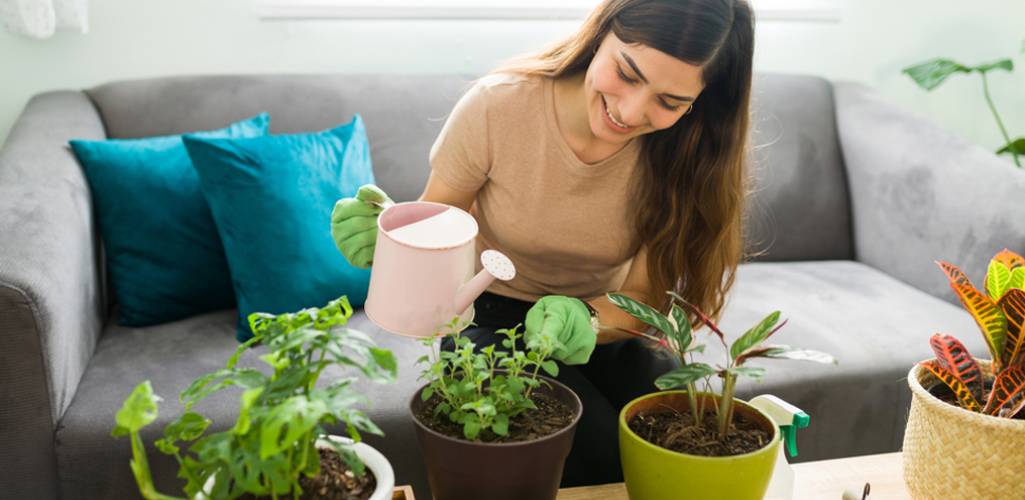 VIERDES: Conoce el poder terapéutico de la jardinería, cómo cultivar bienestar y reducir el estrés a través de la naturaleza